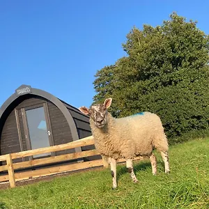  Campsite Cow Pasture Pod United Kingdom