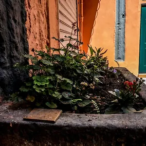 Apartment Little House, Naples